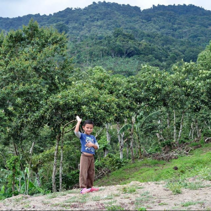 Child in Nicaraguan Coffee Region